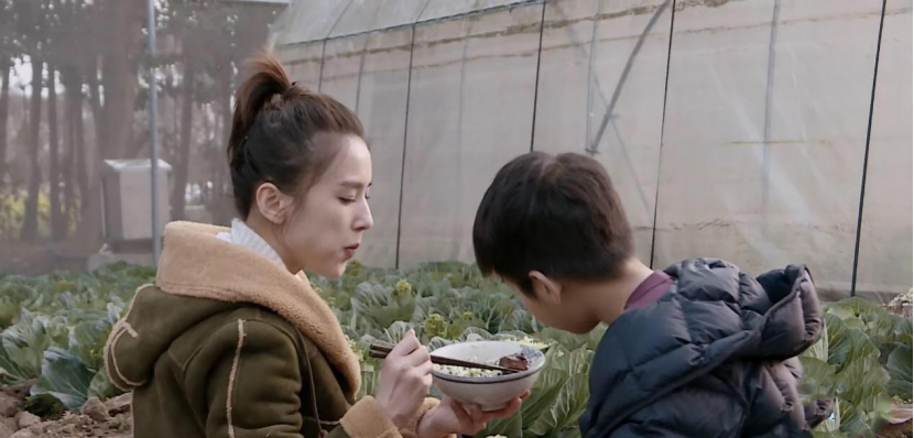 黄圣依签约德国宾果 获明星青睐的果蔬净化机